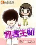 《和妻生财》小说封面
