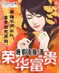 《荣华富贵》小说封面