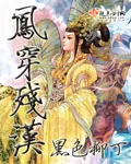 《凤穿残汉》小说封面