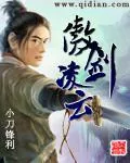 《傲剑凌云》小说封面