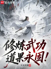 《修炼武功，道果永固！》小说封面