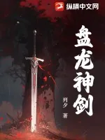 《盘龙神剑》小说封面