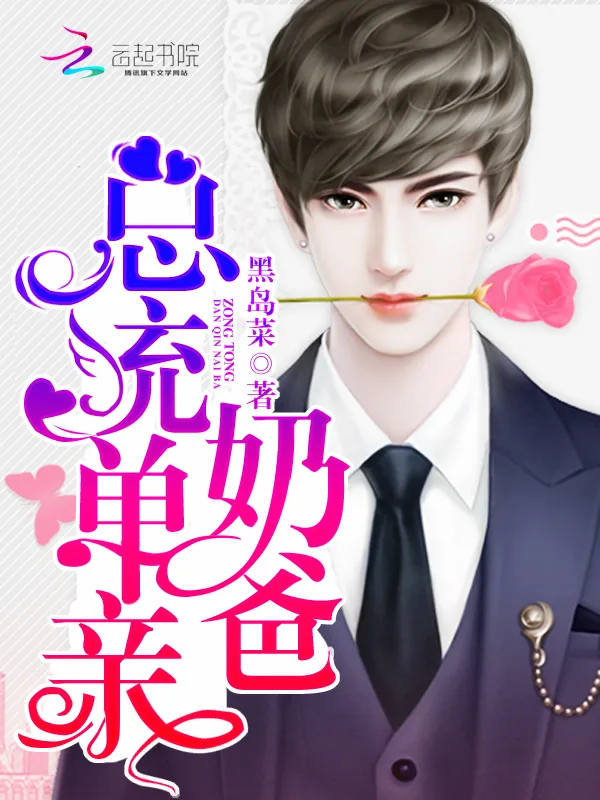 《总统单亲奶爸》小说封面