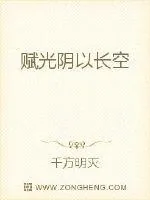 《赋光阴以长空》小说封面