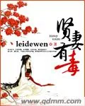 《贤妻有毒》小说封面