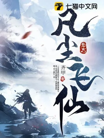 《凡尘飞仙》小说封面