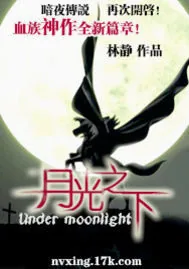 《月光之下》小说封面