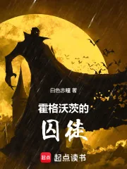 《霍格沃茨的囚徒》小说封面