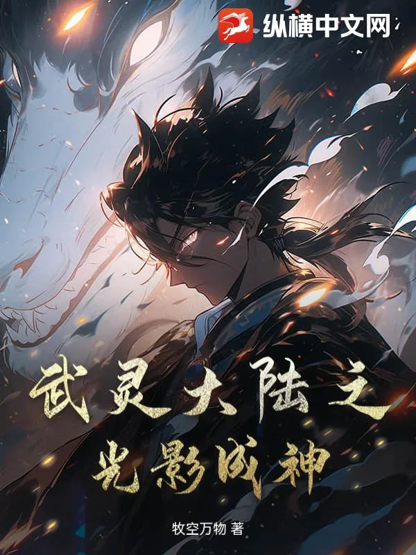 《武灵大陆之光影成神》小说封面