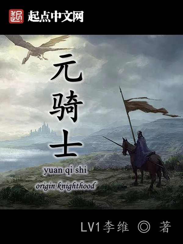 《元骑士》小说封面