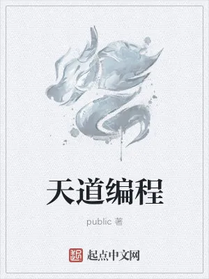 《天道编程》小说封面