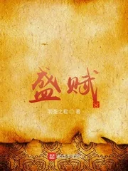 《盛赋》小说封面