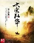 《大宋风华》小说封面