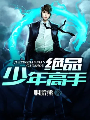 《绝品少年高手》小说封面