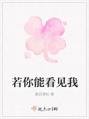 《若你能看见我》小说封面