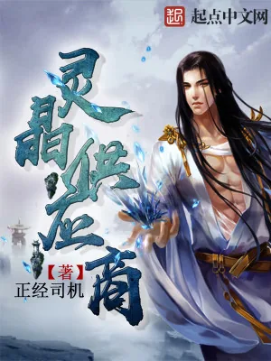 《灵晶供应商》小说封面