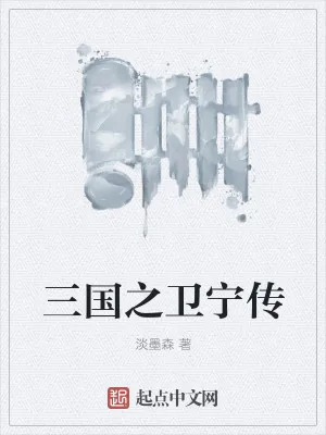 《三国之卫宁传》小说封面