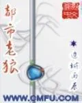 《都市老狼》小说封面