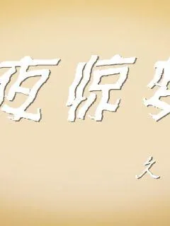 《幻夜惊梦》小说封面