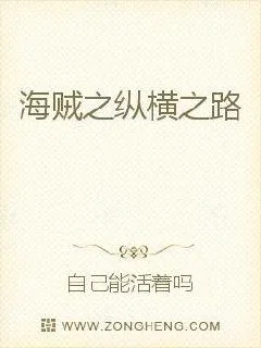 《海贼之纵横之路》小说封面