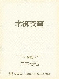 《术御苍穹》小说封面