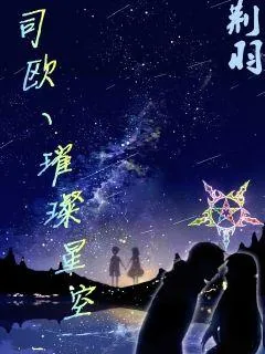 《司欧V璀璨星空》小说封面
