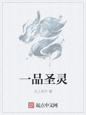 《一品圣灵》小说封面