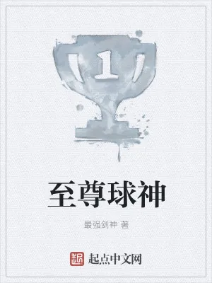 《至尊球神》小说封面