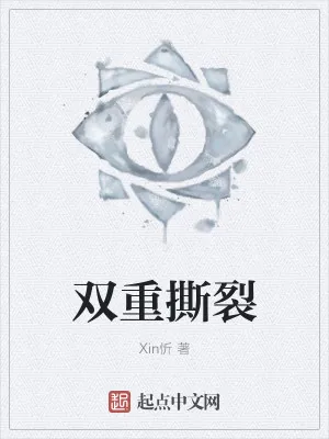 《双重撕裂》小说封面