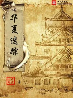 《华夏迷踪》小说封面