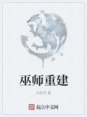 《巫师重建》小说封面