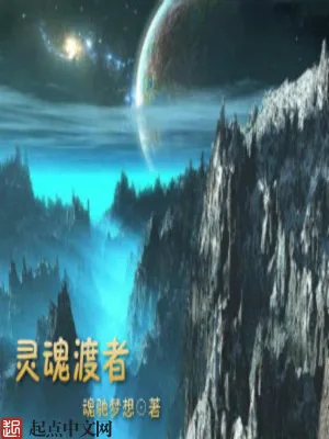 《灵魂渡者》小说封面