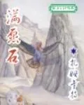 《满愿石》小说封面