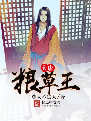 《大唐粮草王》小说封面