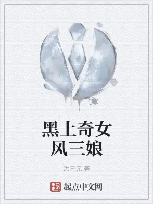 《黑土奇女风三娘》小说封面