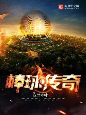 《棒球传奇》小说封面