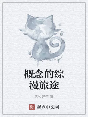 《概念的综漫旅途》小说封面