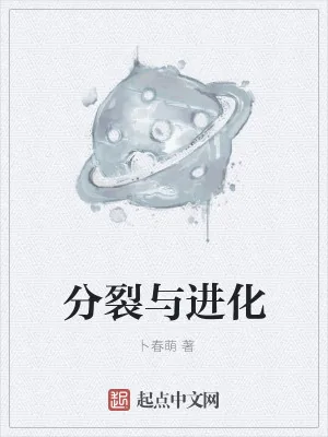 《分裂与进化》小说封面