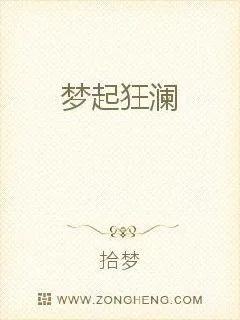 《梦起狂澜》小说封面