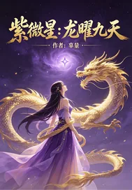 《紫微星：龙曜九天》小说封面