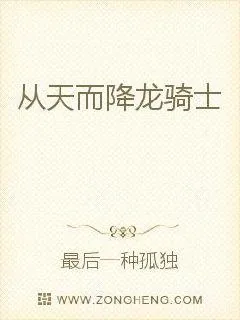 《从天而降龙骑士》小说封面