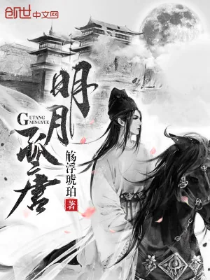 《孤唐明月》小说封面