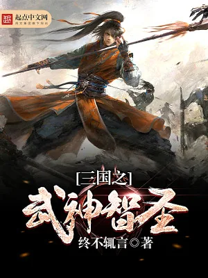 《三国之武神智圣》小说封面