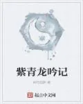 《紫青龙吟记》小说封面