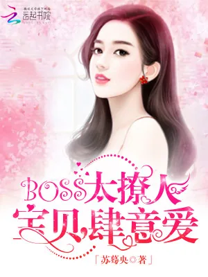 《Boss太撩人：宝贝，肆意爱》小说封面