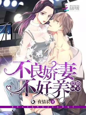 《隐婚99天：不良娇妻不好养》小说封面