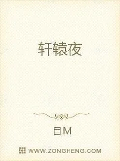 《轩辕夜》小说封面