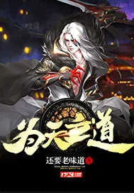《为天立道》小说封面
