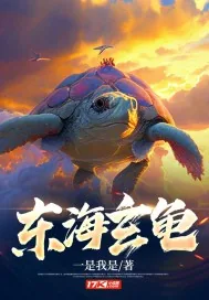 《东海玄龟》小说封面