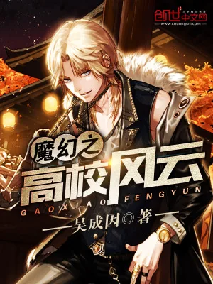 《魔幻之高校风云》小说封面